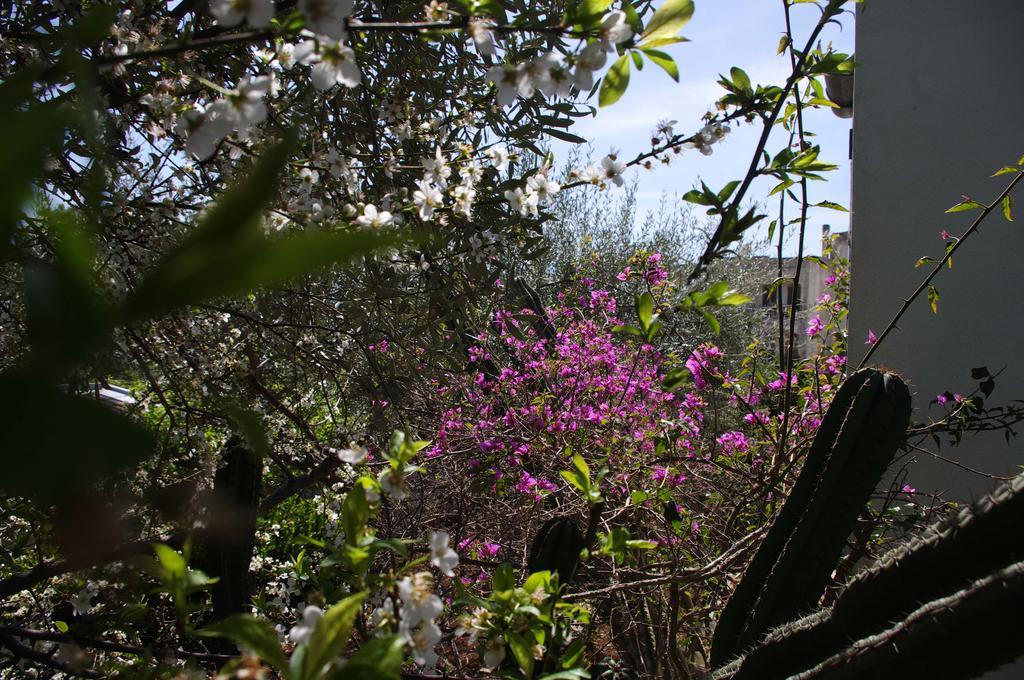 La Piccola Locanda Modica Exteriör bild